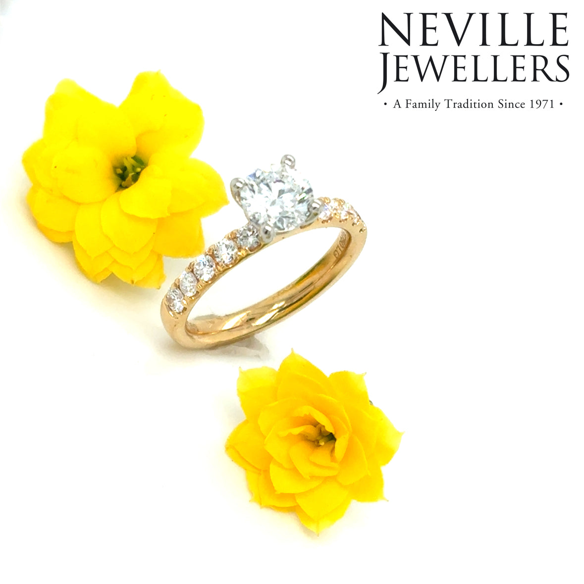 18ct Yellow Gold Round Solitaire Cultured Diamond Ring with Cultured Diamond Shoulders 1.50ct