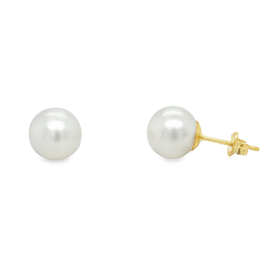 9ct 8.5mm Freshwater Pearl Studs