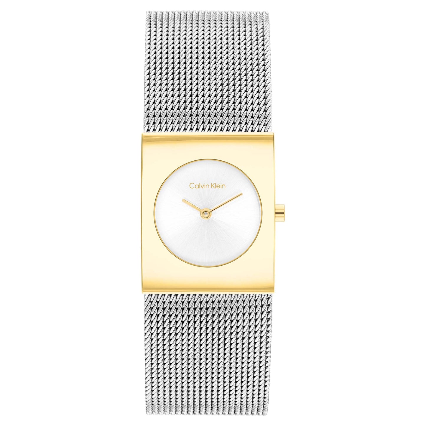Ladies Calvin Klein Pulse Silver Dial