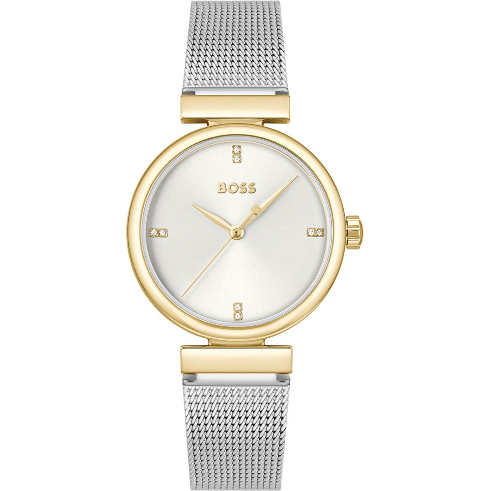 Ladies Hugo Boss Rosehill Silver Dial