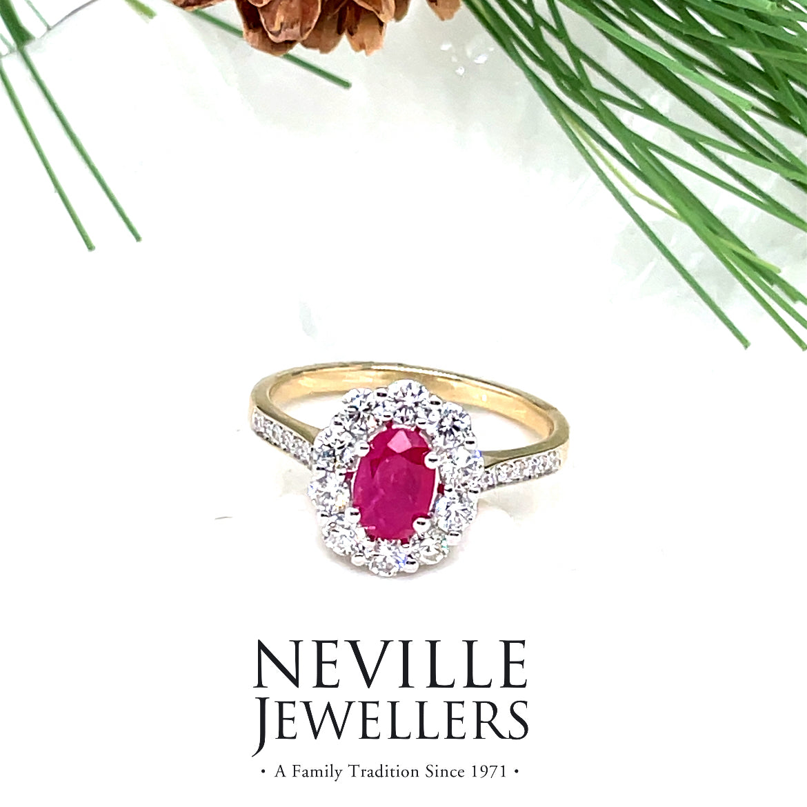 9ct Ruby And Diamond Cluster .76ct Ring