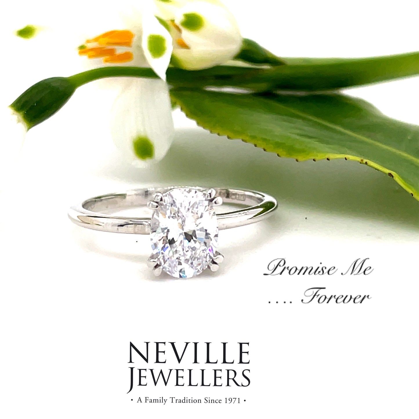 9ct White Gold Cubic Zirconia Oval Solitaire Ring