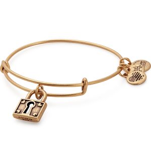 Alex & Ani Unbreakable Love Bangle