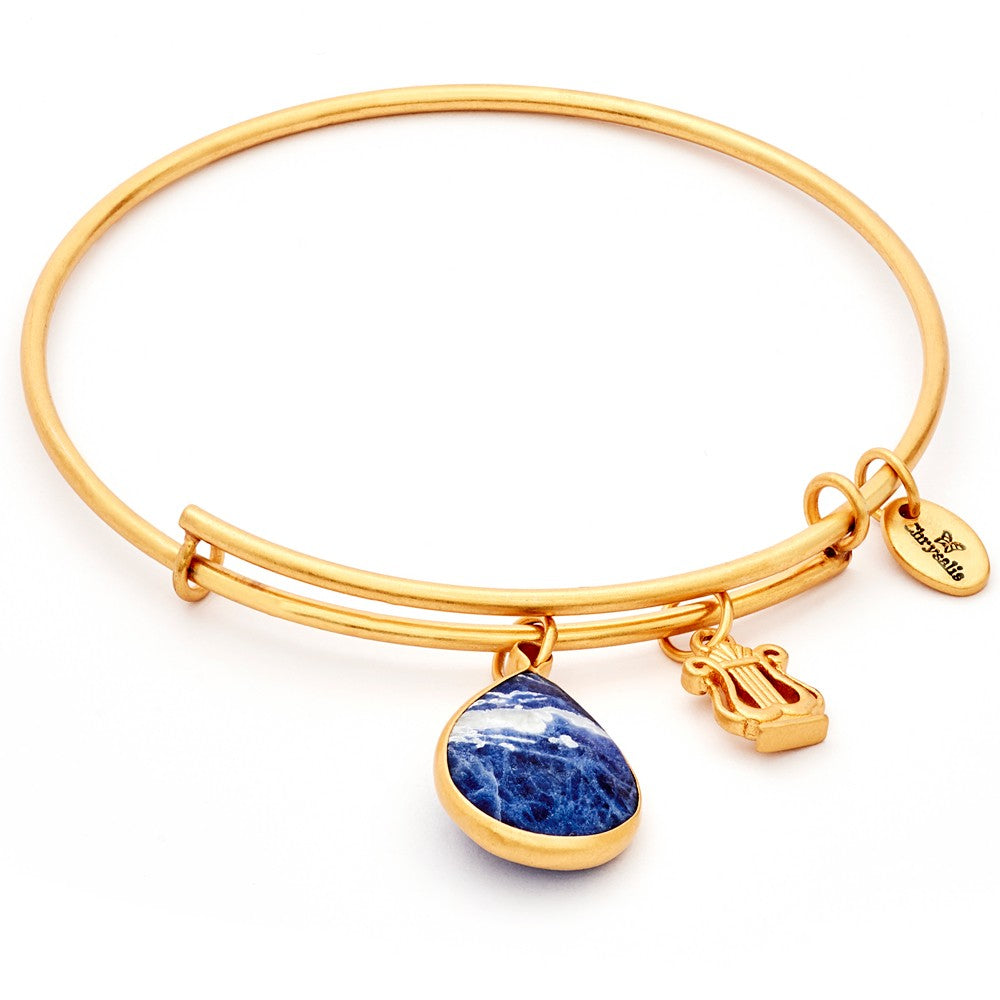Sapphire September Chrysalis Bangle In Gold