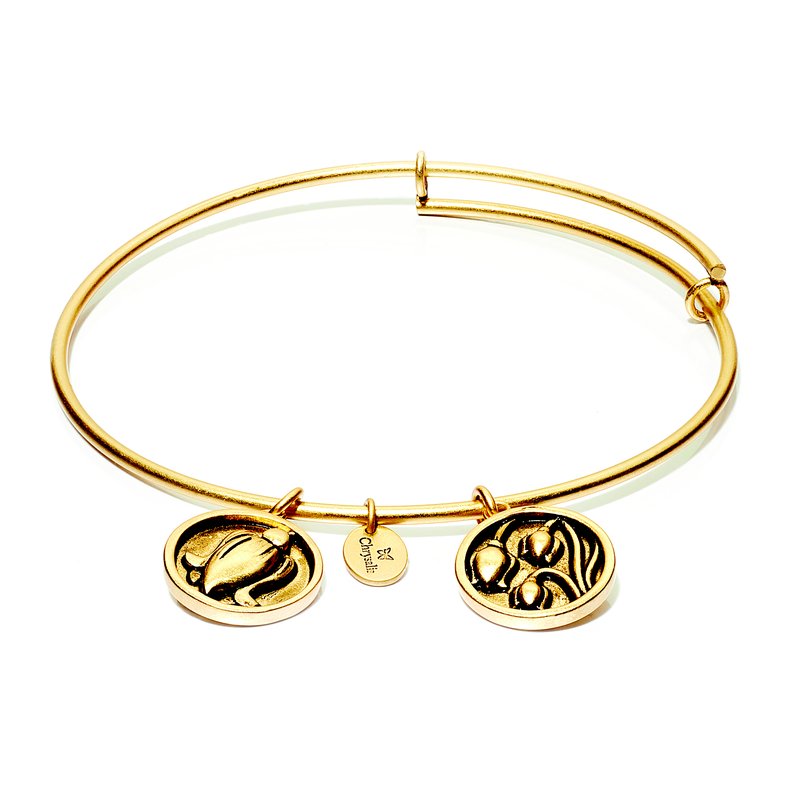 May Lily Chrysalis Bangle In Yellow