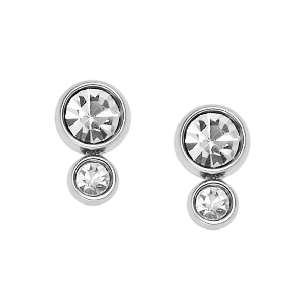 Fossil Earrings