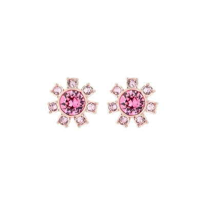 Ted Baker Cesha Daisy Pink Crystal Earrings In Rose