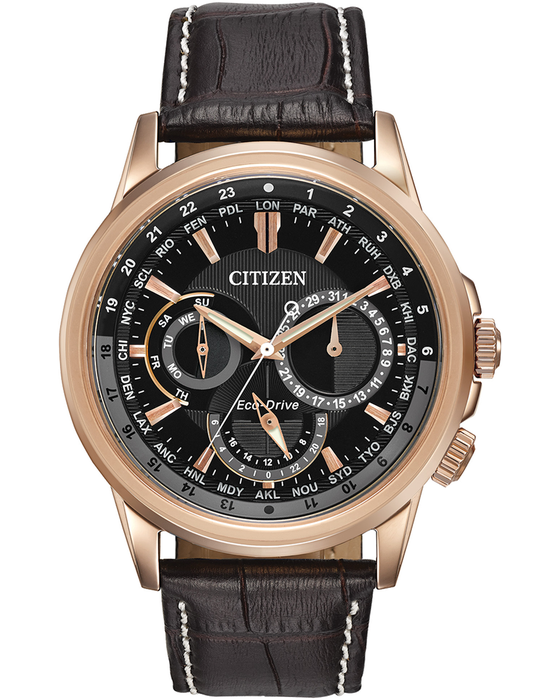Gents Stainless Steel Rose Calendrier World Time Citizen Watch