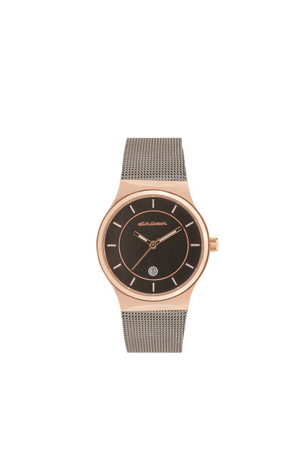 Ladies Two Tone Mesh Bracelet Dalton Watch