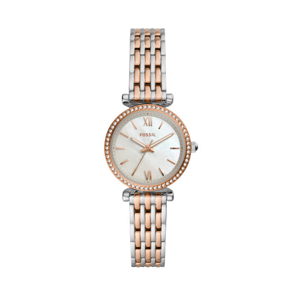 Lmxb Fossil Bi/C Cz Mop