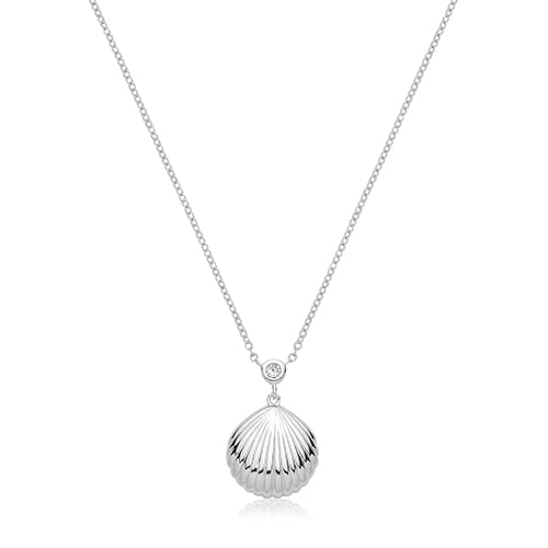 Sterling Silver Polished Seashell Necklet