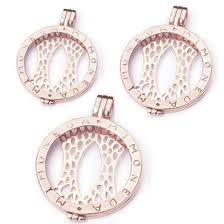 Mi Moneda Small Rose Plated Holder