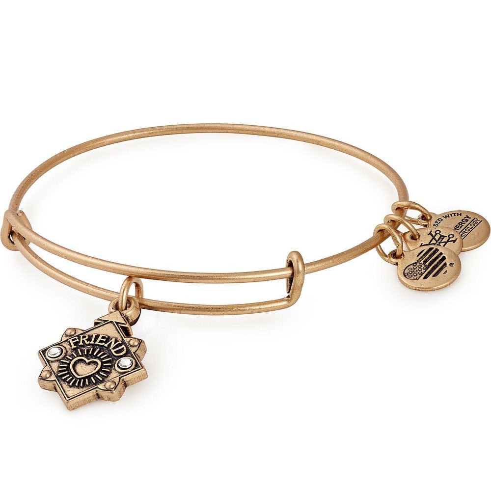 Alex And Ani Because I Love You Friend In Gold
