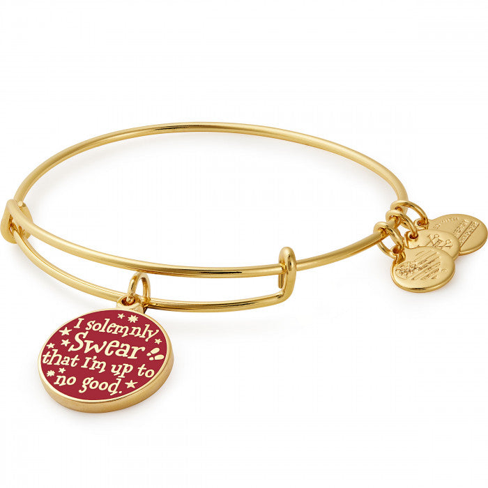 Alex And Ani Mischief Managed Harry Potter Bangle