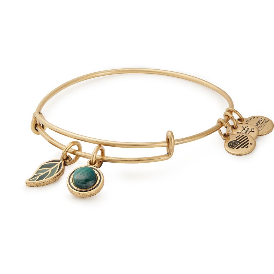 Alex And Ani Grounded Bangle In Gold