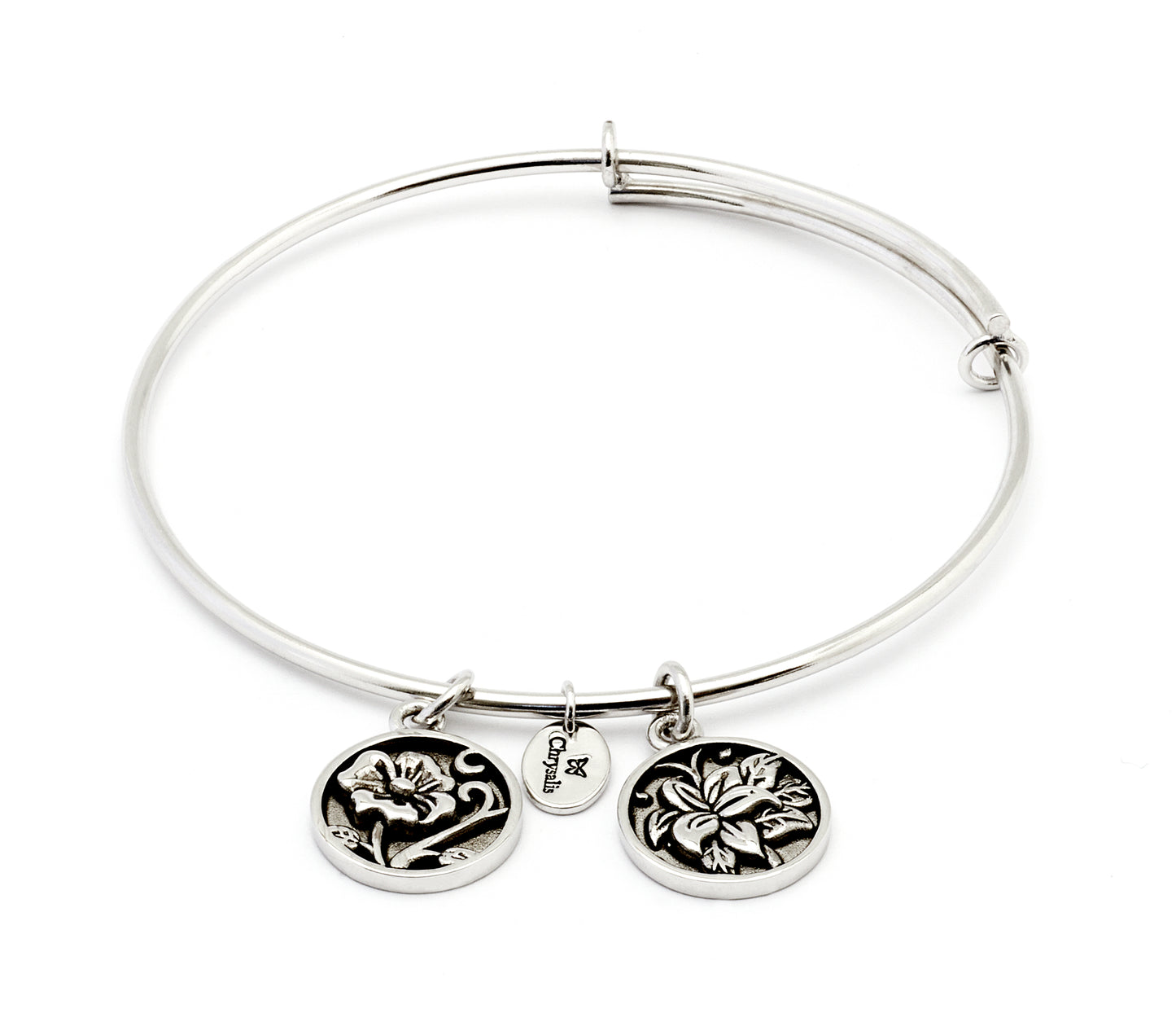 Chrysalis Nature Serenity Bangle In Silver