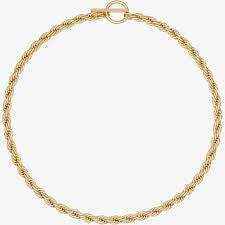 Ted Baker Logo Rope Gold Necklet
