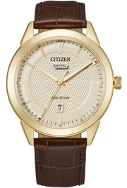 Gents Stainless Steel Gold Eco Drive Corso Citizen Watch